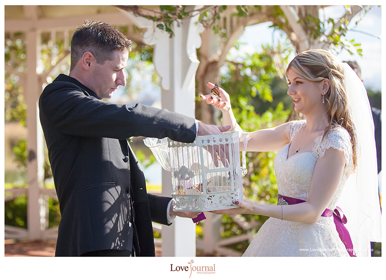 Melbourne wedding Photography at Windmill garden